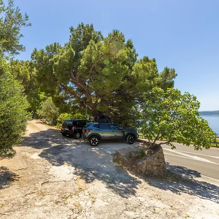 Olive Breeze * Brela