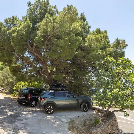 Apartman Olive Breeze *