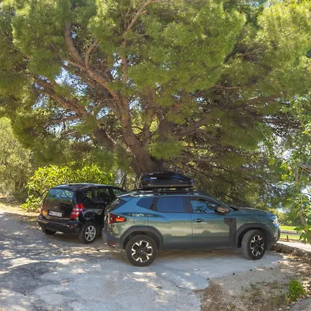 Olive Breeze Daire *