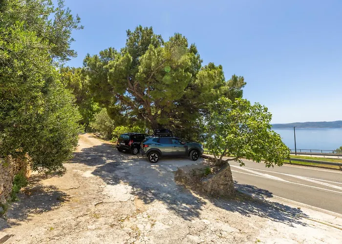 Olive Breeze * Brela