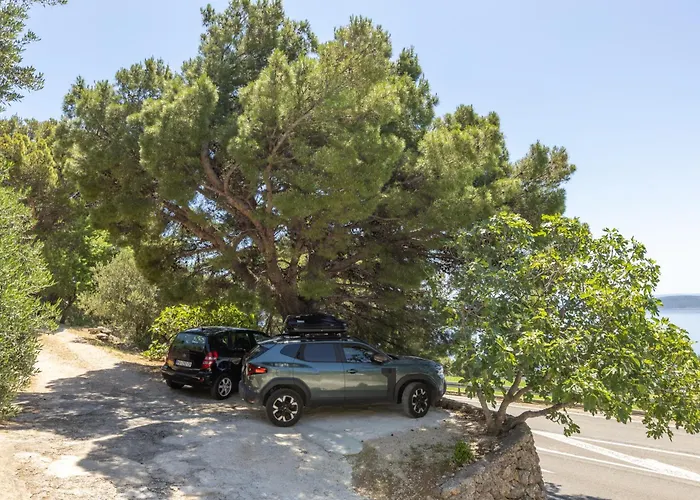 Apartman Olive Breeze *